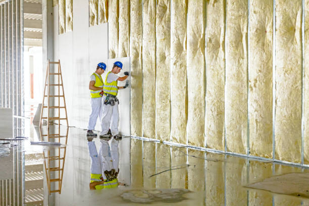Best Spray Foam Insulation in Owings, MD